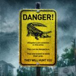 Mini-Cast: Crawl (2019)