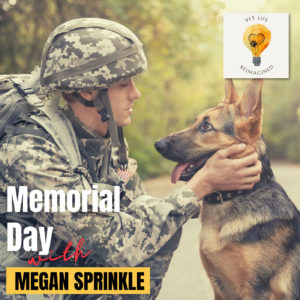 Memorial Day 2023 & a story of a military working dog, Lucca