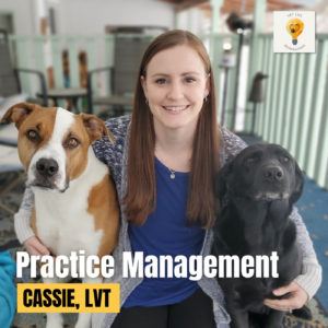Joys & Challenges of Vet Tech to Practice Manager