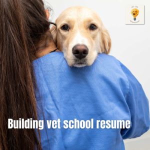 Trying to build your resume for vet school? How to look for experiences.