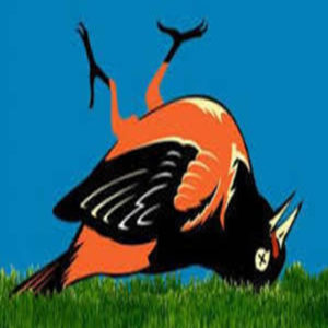 buzzsprout artwork